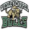 Wesley Chapel Bulls